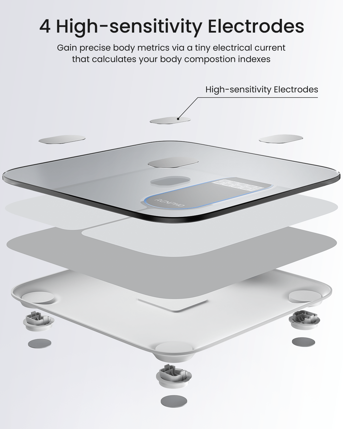 RENPHO Elis 1C Smart Body Scale - NooMii