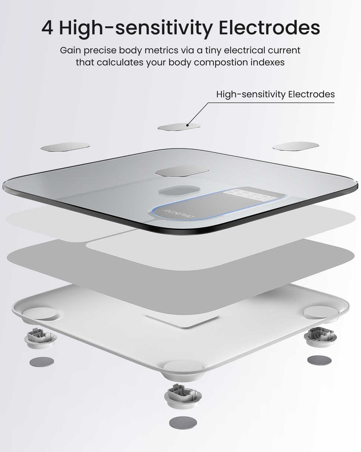 RENPHO Elis 1C Smart Body Scale