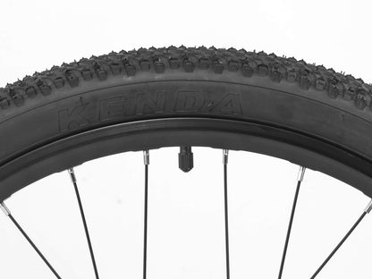 Darwin - 24" Starrgabel/ Federgabel für Kinder - Fahrräder ROCKBROS - EU - NooMii