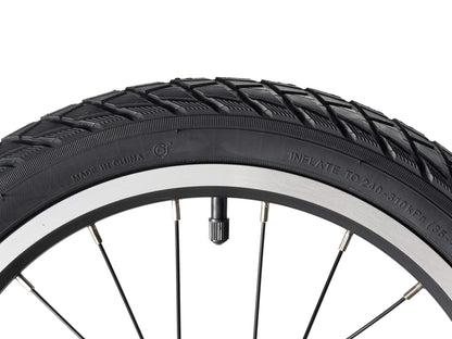 Darwin - Riemenantrieb 16" & 20" für Kinder - Fahrräder ROCKBROS - EU - NooMii