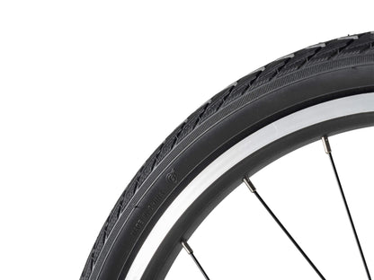 Darwin - Riemenantrieb 16" & 20" für Kinder - Fahrräder ROCKBROS - EU - NooMii