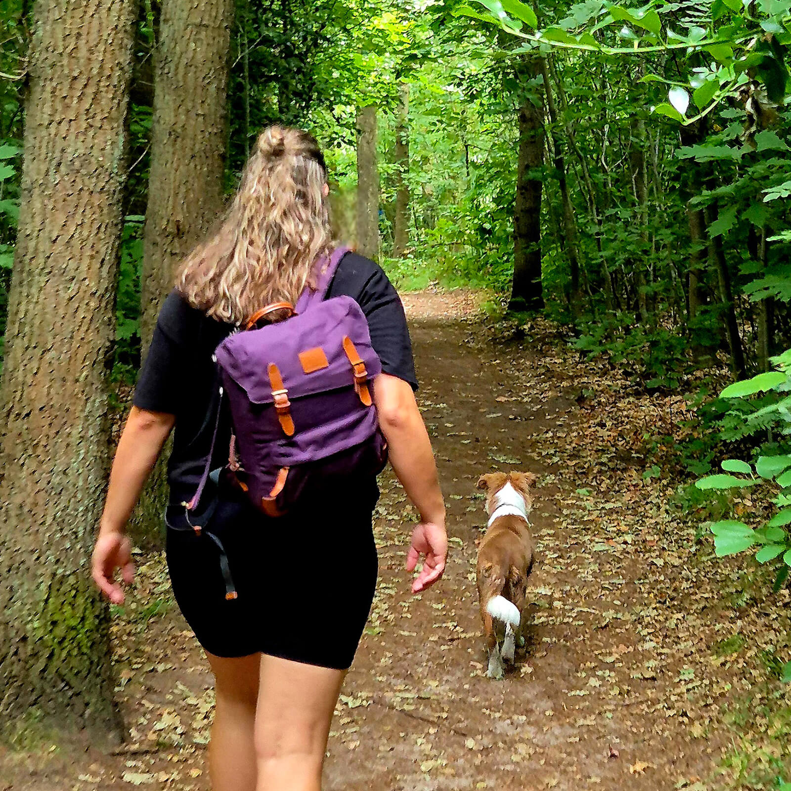 Fahrradtasche Lenkertasche für Brompton Rucksack 7.7L+0.6L - Fahrradtaschen ROCKBROS - EU - NooMii