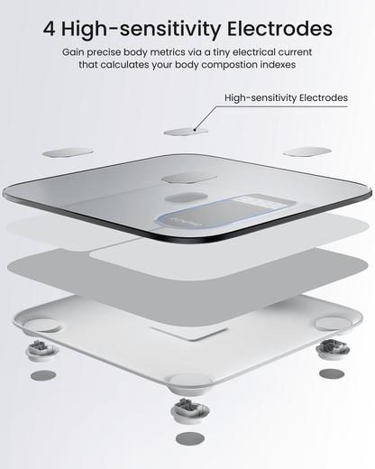 RENPHO Elis 1C Smart Body Scale - NooMii